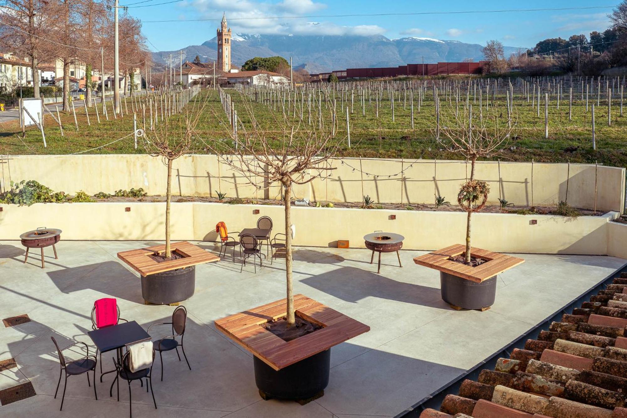 Agriturismo La Vigna Di Sarah Vittorio Veneto Dış mekan fotoğraf